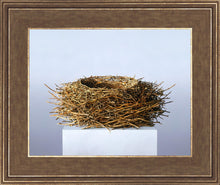 Load image into Gallery viewer, Nest