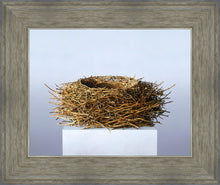 Load image into Gallery viewer, Nest