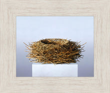 Load image into Gallery viewer, Nest