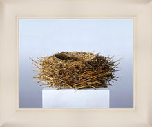 Load image into Gallery viewer, Nest