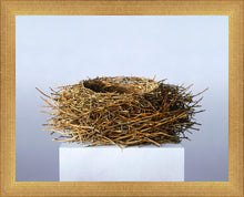 Load image into Gallery viewer, Nest