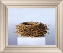 Load image into Gallery viewer, Nest