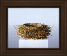 Load image into Gallery viewer, Nest