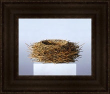 Load image into Gallery viewer, Nest