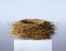 Load image into Gallery viewer, Nest