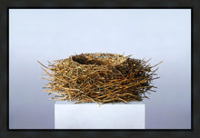 Load image into Gallery viewer, Nest