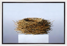 Load image into Gallery viewer, Nest