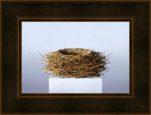 Load image into Gallery viewer, Nest
