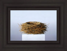 Load image into Gallery viewer, Nest