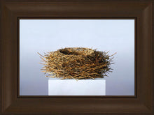 Load image into Gallery viewer, Nest