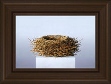 Load image into Gallery viewer, Nest