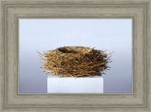 Load image into Gallery viewer, Nest
