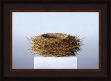 Load image into Gallery viewer, Nest