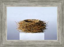 Load image into Gallery viewer, Nest