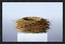 Load image into Gallery viewer, Nest