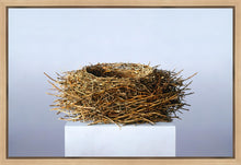 Load image into Gallery viewer, Nest