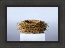 Load image into Gallery viewer, Nest