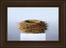 Load image into Gallery viewer, Nest