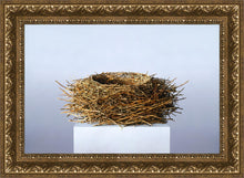 Load image into Gallery viewer, Nest