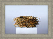 Load image into Gallery viewer, Nest