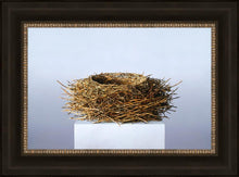 Load image into Gallery viewer, Nest