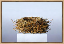 Load image into Gallery viewer, Nest