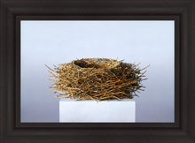 Load image into Gallery viewer, Nest