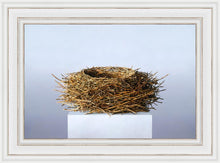 Load image into Gallery viewer, Nest