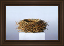 Load image into Gallery viewer, Nest