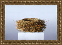 Load image into Gallery viewer, Nest