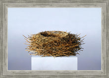 Load image into Gallery viewer, Nest