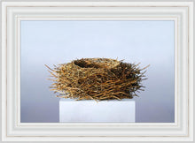 Load image into Gallery viewer, Nest