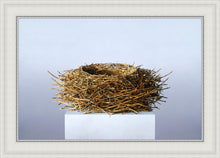 Load image into Gallery viewer, Nest