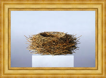 Load image into Gallery viewer, Nest