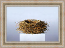 Load image into Gallery viewer, Nest