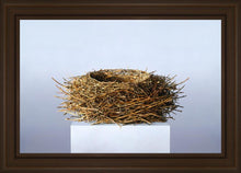Load image into Gallery viewer, Nest