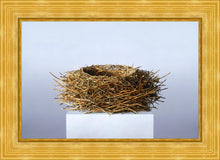 Load image into Gallery viewer, Nest