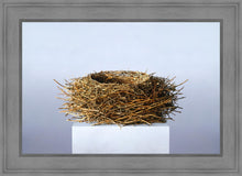 Load image into Gallery viewer, Nest