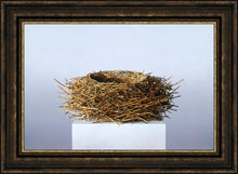 Load image into Gallery viewer, Nest