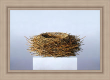 Load image into Gallery viewer, Nest
