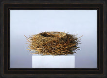 Load image into Gallery viewer, Nest