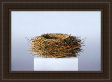 Load image into Gallery viewer, Nest