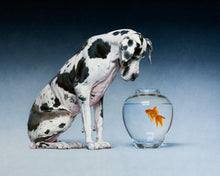 Load image into Gallery viewer, Dane and Fish