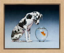 Load image into Gallery viewer, Dane and Fish