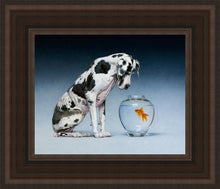 Load image into Gallery viewer, Dane and Fish