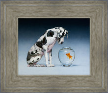 Load image into Gallery viewer, Dane and Fish