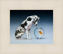 Load image into Gallery viewer, Dane and Fish