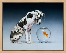 Load image into Gallery viewer, Dane and Fish