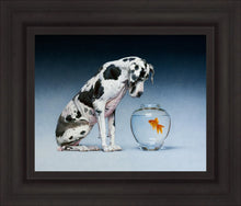 Load image into Gallery viewer, Dane and Fish