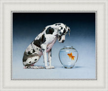 Load image into Gallery viewer, Dane and Fish